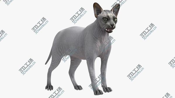 images/goods_img/20210312/Sphynx Cat Solid Color Black Rigged 3D/1.jpg